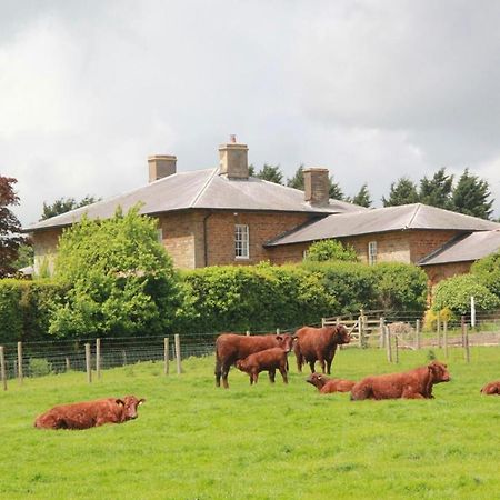 Seawell Bed and Breakfast Towcester Eksteriør billede