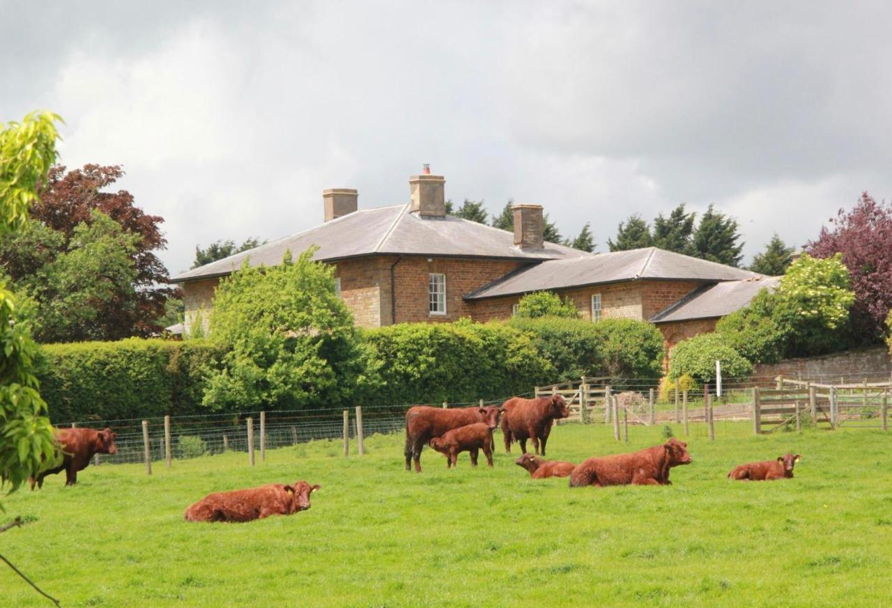 Seawell Bed and Breakfast Towcester Eksteriør billede